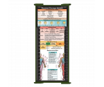 WhiteCoat Clipboard® Trifold - Army Green Physical Therapy Edition